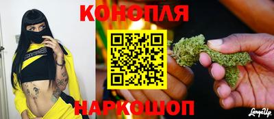 стаф Новокубанск