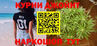 стаф Новокубанск