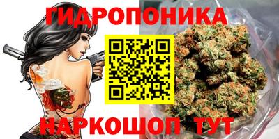 стаф Новокубанск